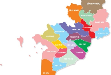 Vựa Cung Cấp Chuối Giống Uy Tín Tại Miền Nam – Giá Sỉ, Giao Tận Nơi