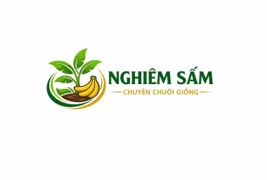 Đơn Vị Cung Cấp Chuối Giống Chất Lượng Tại Bình Dương – Nghiêm Sấm Farm