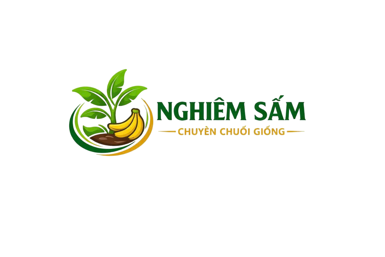 Logo Nghiêm Sấm Farm - Chuyên Chuối Giống Miền Nam