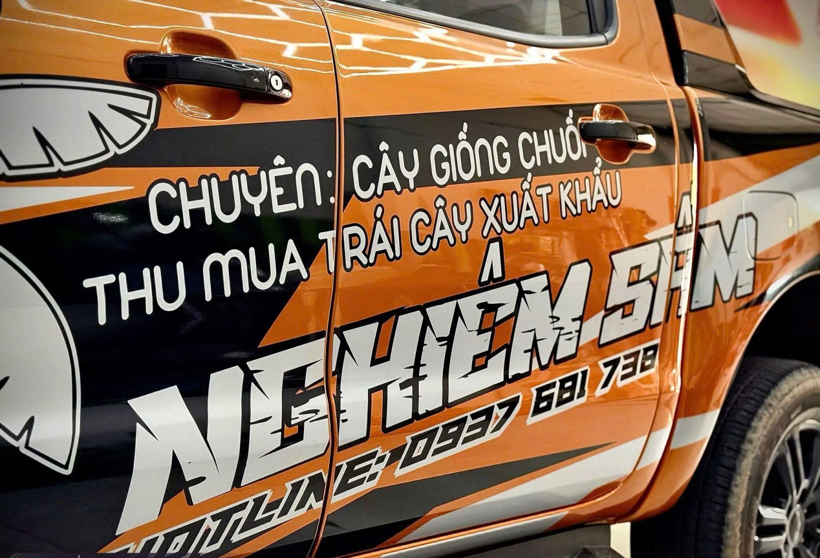 Xe giao chuối giống đi các tỉnh Miền Tây và Đông Nam Bộ