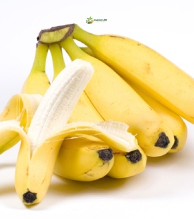 Bí Quyết Cung Cấp Chuối Già Tươi Ngon Chuẩn Vị: Giải Pháp Toàn Diện Từ NGHIÊM SẤM FARM