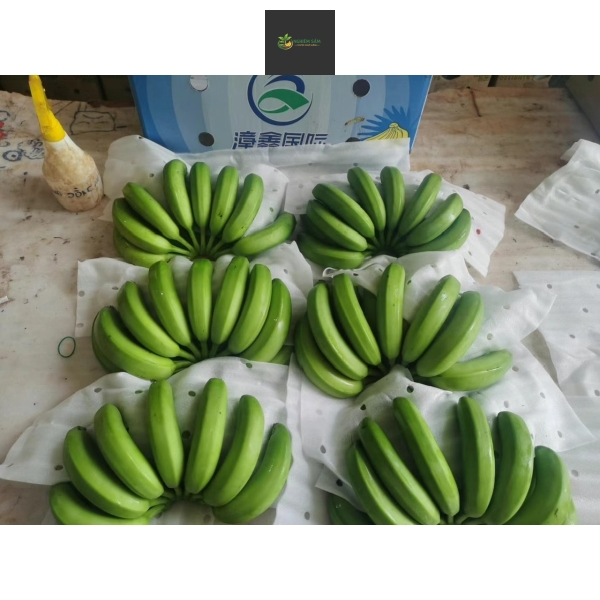 Bí Quyết Cung Cấp Chuối Già Tươi Ngon Chuẩn Vị: Giải Pháp Toàn Diện Từ NGHIÊM SẤM FARM